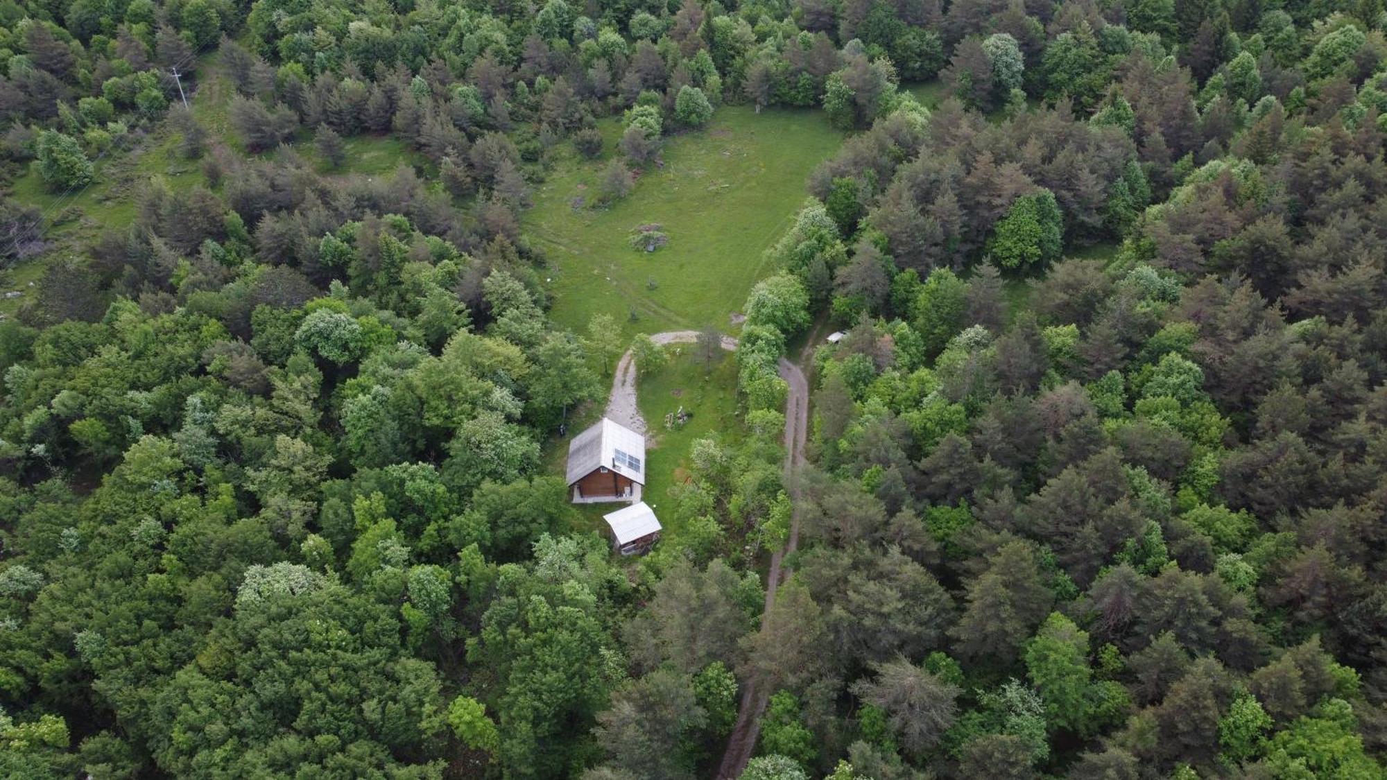 Podklanci-House In The Forest Knezak Luaran gambar